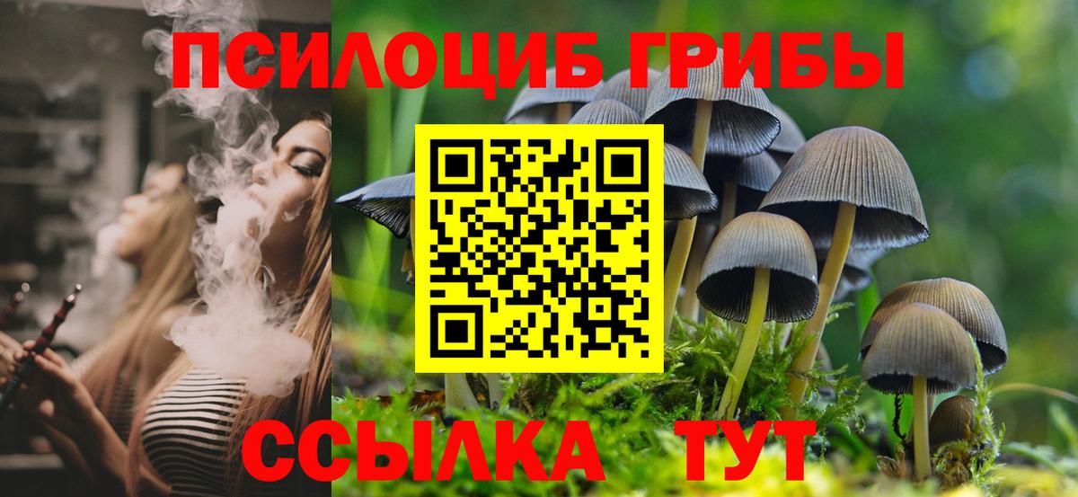Псилоцибиновые грибы мицелий  Галлюциногенные грибы GOLDEN TEACHER  Ипатово  Вход с VPN 